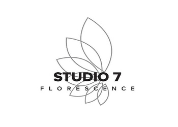STUDIO 7