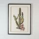 Πίνακας Κολάζ “Cactus” 60x80 εκ.