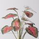 Τεχνητό Φυτό Καλάδιο Rosebud Κόκκινο 39 εκ.