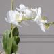 Τεχνητό Φυτό Ορχιδέα Phalaenopsis Real Touch Λευκή με Κασπώ 35 εκ.