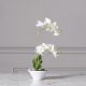 Τεχνητό Φυτό Ορχιδέα Phalaenopsis Real Touch Λευκή με Κασπώ 35 εκ.
