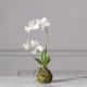 Τεχνητό Φυτό Ορχιδέα Phalaenopsis Real Touch Λευκή με Βάση Moss 40 εκ.