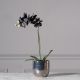 Τεχνητό Φυτό Ορχιδέα Phalaenopsis Real Touch Μαύρη με Βάση Moss 60 εκ.