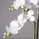 Τεχνητό Φυτό Ορχιδέα Phalaenopsis Real Touch Λευκή με Κασπώ 80 εκ.