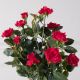 Τεχνητό Φυτό Τριανταφυλλιά Κόκκινο 33 εκ.