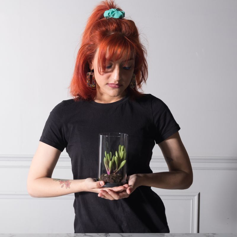 Τεχνητό Φυτό Κρασούλα ''Skinny Fingers'' Πράσινο 15,5 εκ.