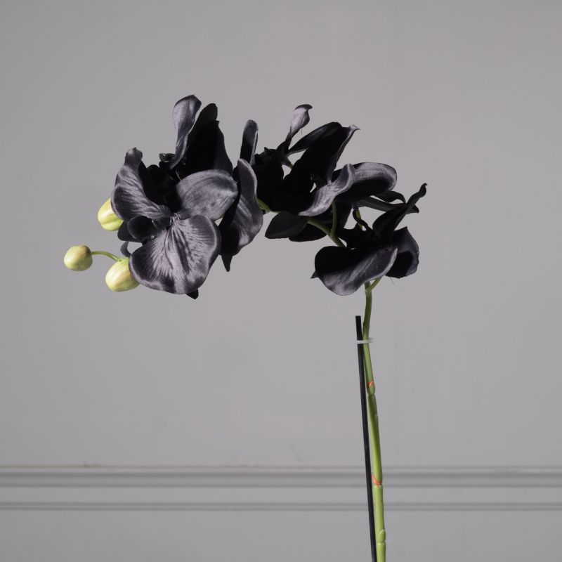 Τεχνητό Φυτό Ορχιδέα Phalaenopsis Real Touch Μαύρη με Βάση Moss 60 εκ.