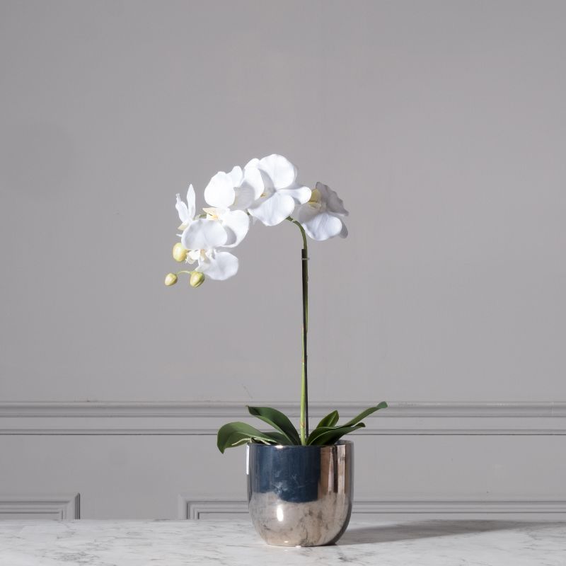 Τεχνητό Φυτό Ορχιδέα Phalaenopsis Real Touch Λευκή με Βάση Moss 60 εκ.