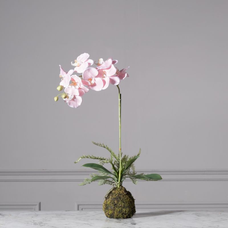 Τεχνητό Φυτό Ορχιδέα Phalaenopsis Real Touch Ροζ με Βάση Moss 60 εκ.