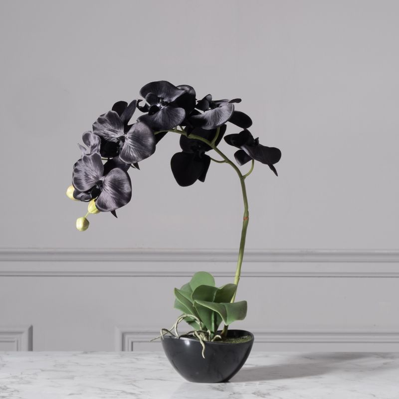 Τεχνητό Φυτό Ορχιδέα Phalaenopsis Real Touch Μαύρη με Κασπώ 48 εκ.