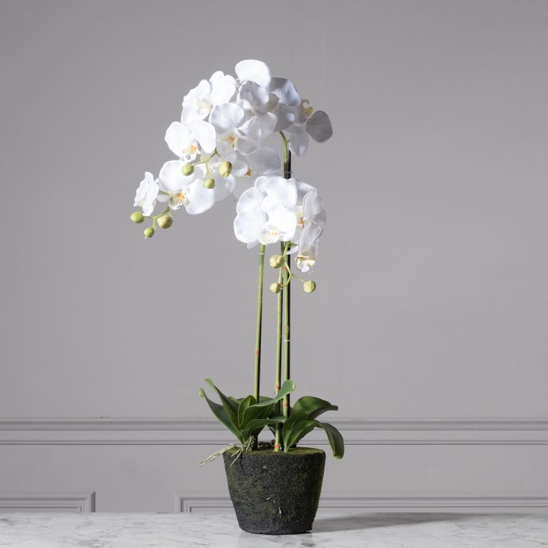 Τεχνητό Φυτό Ορχιδέα Phalaenopsis Real Touch Λευκή με Βάση Moss 85 εκ.