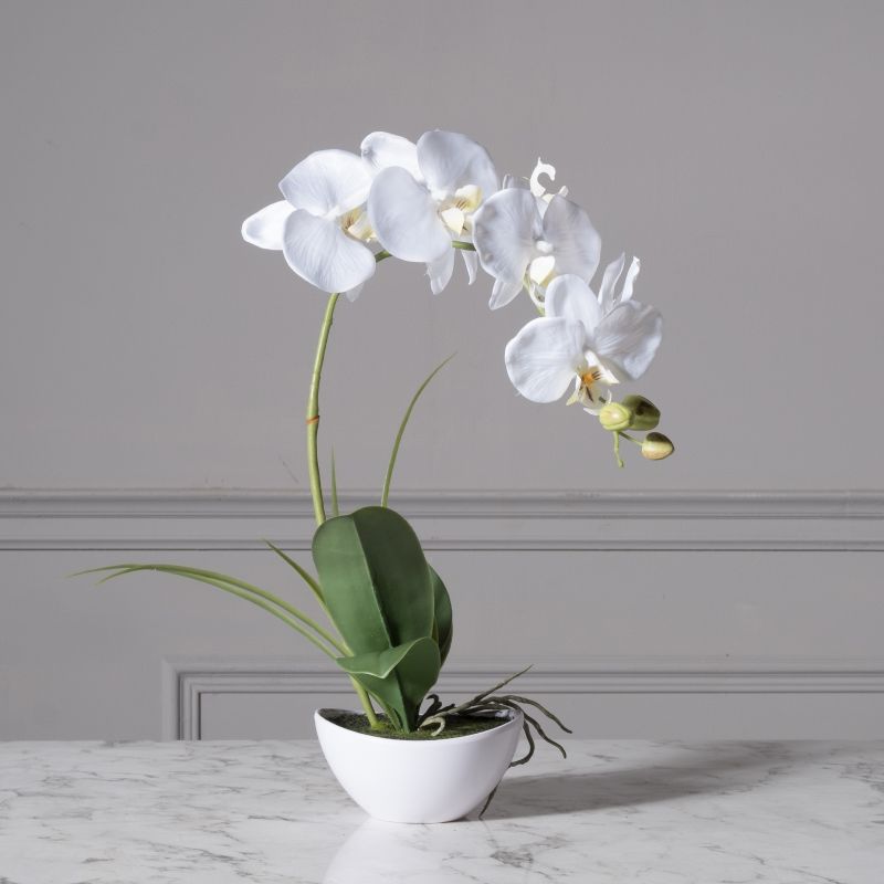 Τεχνητό Φυτό Ορχιδέα Phalaenopsis Real Touch Λευκή με Κασπώ 50 εκ.