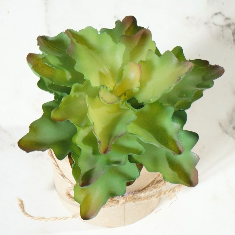 Τεχνητό Φυτό Παχύφυτο Πράσινο 13 εκ.