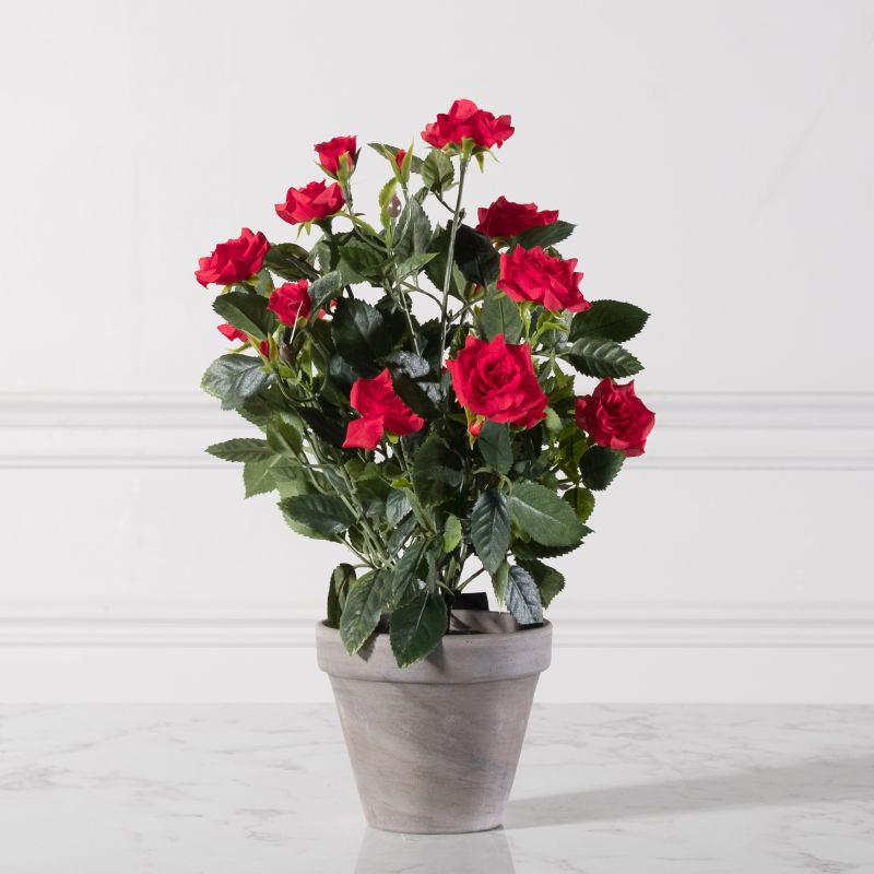 Τεχνητό Φυτό Τριανταφυλλιά Κόκκινο 33 εκ.