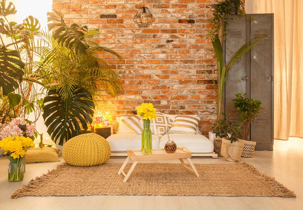 FENG SHUI ΚΑΙ ΤΕΧΝΗΤΑ ΦΥΤΑ